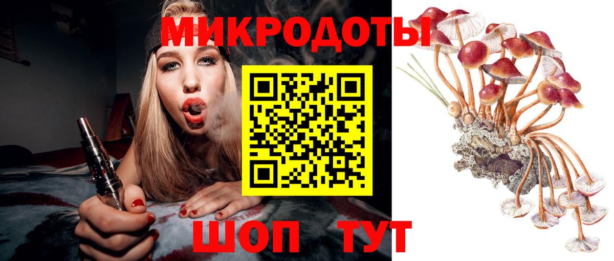 Звенигород  даркнет сайт  Вход с VPN  Псилоцибиновые грибы прущие грибы 